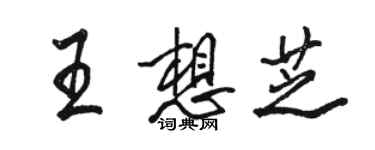 駱恆光王想芝行書個性簽名怎么寫