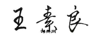 駱恆光王素良行書個性簽名怎么寫