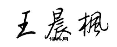 王正良王晨楓行書個性簽名怎么寫