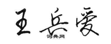 駱恆光王兵愛行書個性簽名怎么寫