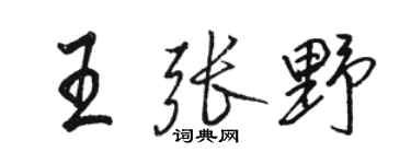 駱恆光王張野行書個性簽名怎么寫