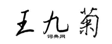 王正良王九菊行書個性簽名怎么寫