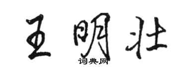 駱恆光王明壯行書個性簽名怎么寫