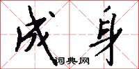 成身怎么寫好看