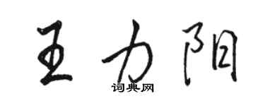 駱恆光王力陽行書個性簽名怎么寫
