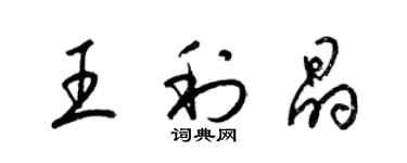 梁錦英王利晶草書個性簽名怎么寫