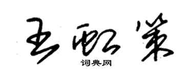 朱錫榮王虹策草書個性簽名怎么寫