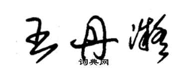 朱錫榮王丹凝草書個性簽名怎么寫