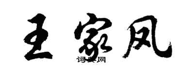 胡問遂王家鳳行書個性簽名怎么寫