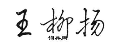 駱恆光王柳揚行書個性簽名怎么寫