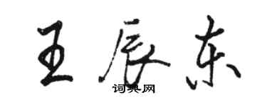 駱恆光王辰東行書個性簽名怎么寫