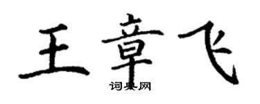 丁謙王章飛楷書個性簽名怎么寫