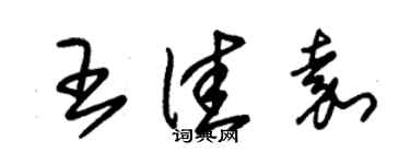朱錫榮王佳嘉草書個性簽名怎么寫