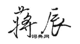 駱恆光蔣辰行書個性簽名怎么寫