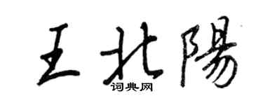 王正良王北陽行書個性簽名怎么寫