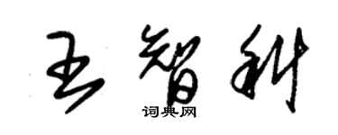 朱錫榮王智科草書個性簽名怎么寫