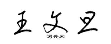 梁錦英王文旦草書個性簽名怎么寫