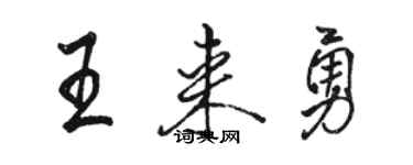 駱恆光王來勇行書個性簽名怎么寫