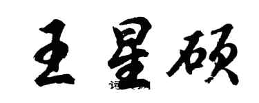 胡問遂王星碩行書個性簽名怎么寫