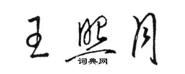 駱恆光王照月草書個性簽名怎么寫