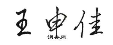 駱恆光王申佳行書個性簽名怎么寫