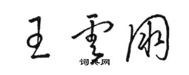 駱恆光王雲朋草書個性簽名怎么寫