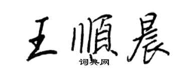 王正良王順晨行書個性簽名怎么寫