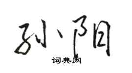 駱恆光孫陽行書個性簽名怎么寫