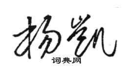 駱恆光楊凱草書個性簽名怎么寫