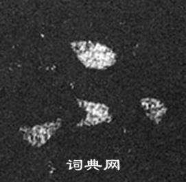 王羲之十七帖中不的寫法