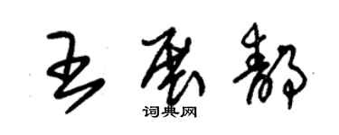 朱錫榮王展靜草書個性簽名怎么寫