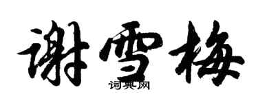 胡問遂謝雪梅行書個性簽名怎么寫