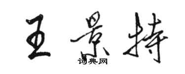 駱恆光王景特行書個性簽名怎么寫