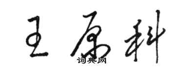 駱恆光王原科草書個性簽名怎么寫