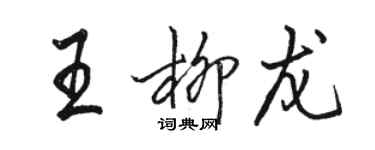 駱恆光王柳龍行書個性簽名怎么寫