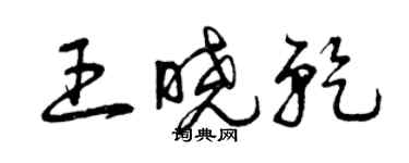 曾慶福王曉乾草書個性簽名怎么寫