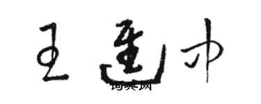 駱恆光王進中草書個性簽名怎么寫