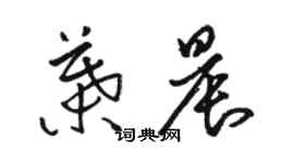 駱恆光葉晨草書個性簽名怎么寫