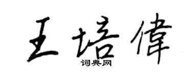 王正良王培偉行書個性簽名怎么寫
