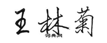 駱恆光王林菊行書個性簽名怎么寫