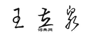 駱恆光王立泉草書個性簽名怎么寫