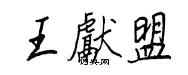 王正良王獻盟行書個性簽名怎么寫