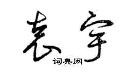 曾慶福袁宇草書個性簽名怎么寫
