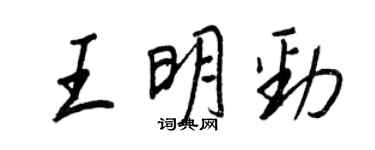 王正良王明勁行書個性簽名怎么寫