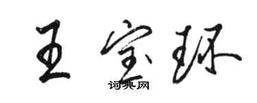 駱恆光王寶環行書個性簽名怎么寫