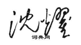 駱恆光沈耀草書個性簽名怎么寫