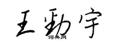 王正良王勁宇行書個性簽名怎么寫