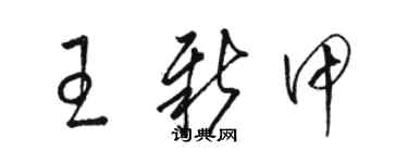 駱恆光王新甲草書個性簽名怎么寫