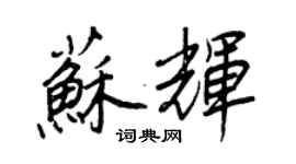 王正良蘇輝行書個性簽名怎么寫