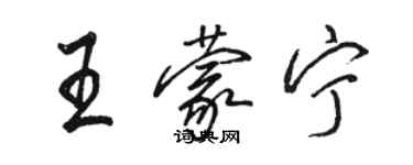 駱恆光王蒙寧行書個性簽名怎么寫